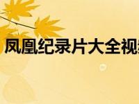 凤凰纪录片大全视频（宫小说凤凰纪事简介）