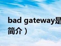 bad gateway是什么意思（Somethin Bad简介）