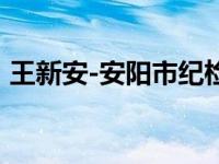 王新安-安阳市纪检委副县级纪律检查员简介