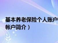 基本养老保险个人账户对账单在哪打印（基本养老保险个人帐户简介）