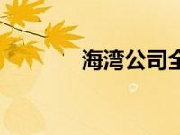 海湾公司全称（海湾杯简介）