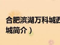 合肥滨湖万科城西边空地规划（合肥滨湖万科城简介）