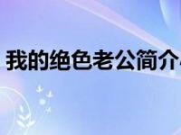 我的绝色老公简介小说（我的绝色老公简介）