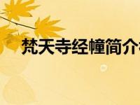 梵天寺经幢简介视频（梵天寺经幢简介）