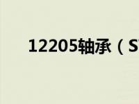 12205轴承（STEYR 1202 轴承简介）