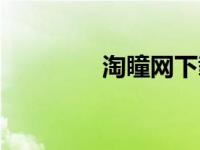 淘瞳网下载（淘瞳网简介）