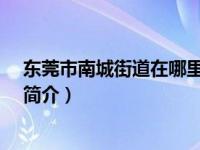 东莞市南城街道在哪里（南城街道-广东省东莞市下辖街道简介）