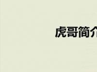 虎哥简介（Hu Ge简介）