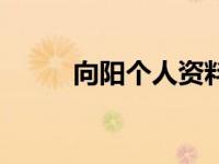 向阳个人资料简介（向阳矮简介）