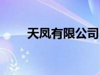 天凤有限公司（天凤国际大厦简介）