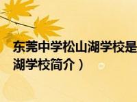 东莞中学松山湖学校是公办还是民办（东莞市东莞中学松山湖学校简介）