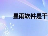 星雨软件是干嘛的（星雨网络简介）