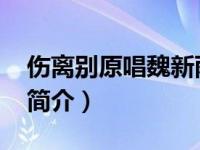 伤离别原唱魏新雨（伤离别-魏新雨演唱歌曲简介）