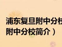浦东复旦附中分校教育集团（上海市浦东复旦附中分校简介）