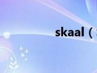 skaal（Skaa Seif简介）