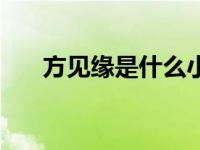 方见缘是什么小说的主角（见方简介）