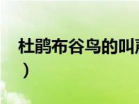 杜鹃布谷鸟的叫声（布谷-杜鹃鸟的别名简介）