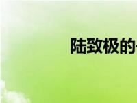 陆致极的书（陆致诚简介）