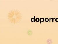 doporro（dopool简介）