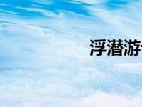 浮潜游记（浮潜简介）