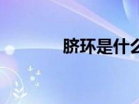 脐环是什么意思（脐环简介）