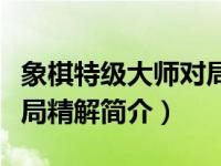 象棋特级大师对局讲解（最新象棋特级大师对局精解简介）