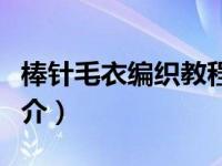 棒针毛衣编织教程（女士棒针钩针毛衣全集简介）