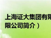 上海证大集团有限公司（上海证大投资咨询有限公司简介）