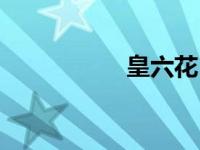 皇六花（六皇妹简介）