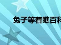 兔子等着瞧百科（兔子等着瞧！简介）