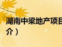 湖南中梁地产项目（湖南中梁地产有限公司简介）
