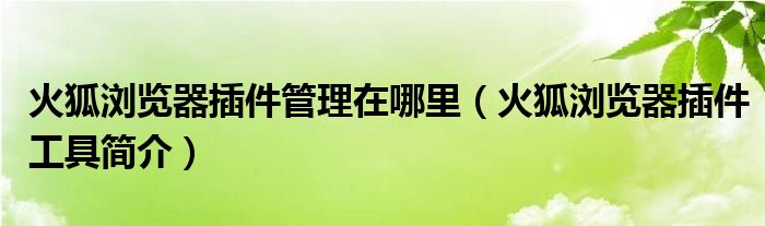 火狐浏览器插件管理在哪里（火狐浏览器插件工具简介）