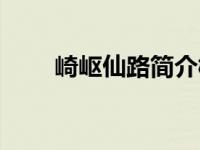崎岖仙路简介概括（崎岖仙路简介）