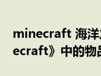 minecraft 海洋之心（海洋之心-游戏《Minecraft》中的物品简介）