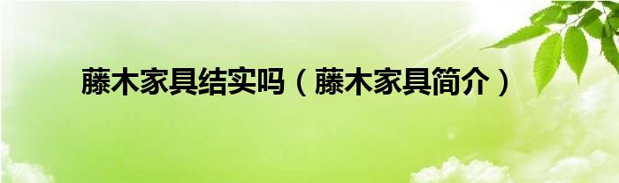 藤木家具结实吗（藤木家具简介）