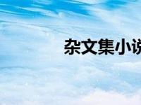 杂文集小说（杂文精选简介）