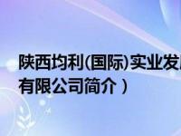 陕西均利(国际)实业发展股份有限公司（西安均信财务咨询有限公司简介）