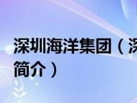 深圳海洋集团（深圳市海洋建筑材料有限公司简介）