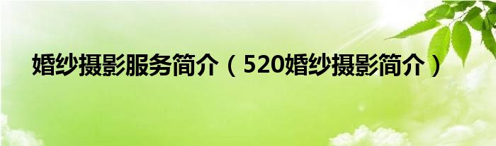 婚纱摄影服务简介（520婚纱摄影简介）