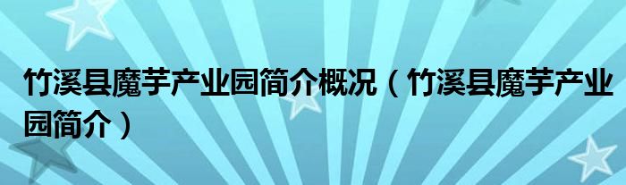 竹溪县魔芋产业园简介概况（竹溪县魔芋产业园简介）