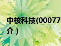 中核科技(000777)股（中核科技[000777]简介）