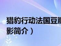 猎豹行动法国豆瓣（猎豹行动-2002年法国电影简介）