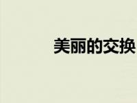 美丽的交换（美丽的交换简介）