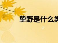 挚野是什么类型小说（挚野简介）