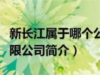 新长江属于哪个公司（安徽新长江投资股份有限公司简介）