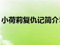 小荷莉复仇记简介50字（小荷莉复仇记简介）