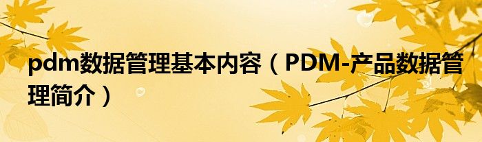 pdm数据管理基本内容（PDM