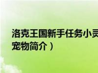 洛克王国新手任务小灵灵（小灵犬-游戏《洛克王国》中的宠物简介）