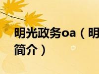 明光政务oa（明光市人民政府政务服务中心简介）