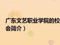 广东文艺职业学院的校训（广东文艺职业学院职业生涯促进会简介）